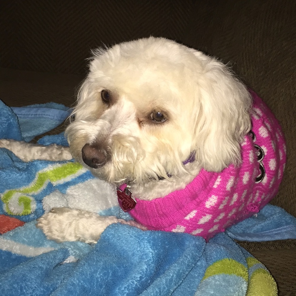 Meet your Posher, Ginny